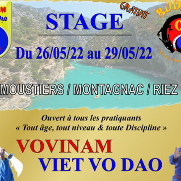 Stage de Vovinam