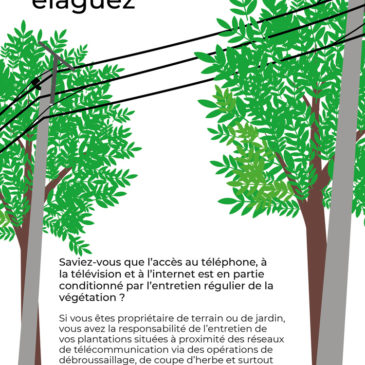 Pour rester branché, élaguez