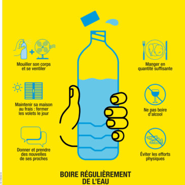 Canicule, adoptez les bons gestes