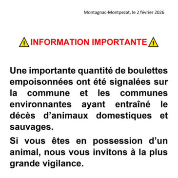 Boulettes empoisonnées