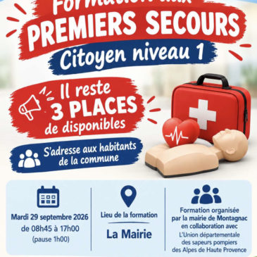 Formation aux premiers secours  PSC1