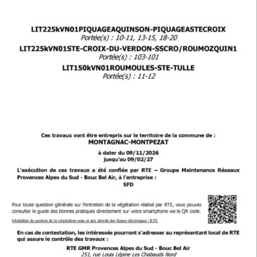 Information élagage